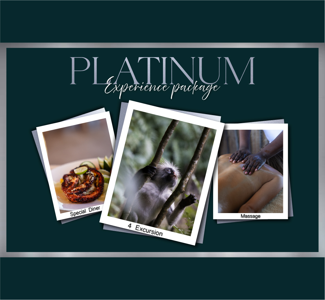 Platinum Experience Package